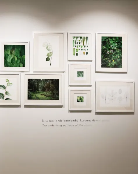Botanical Illustration from Life - Istanbul