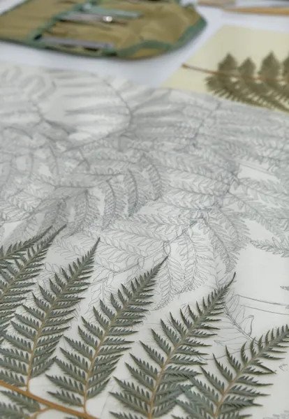 Botanical Illustration from Life - Istanbul